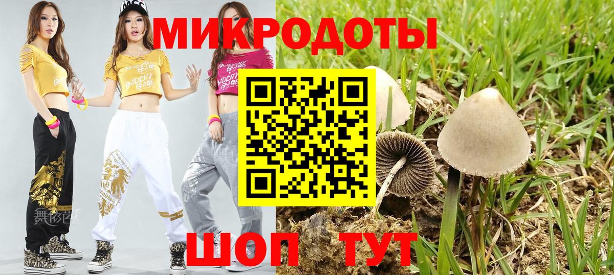 Галлюциногенные грибы GOLDEN TEACHER  Вход с VPN  Камышлов 